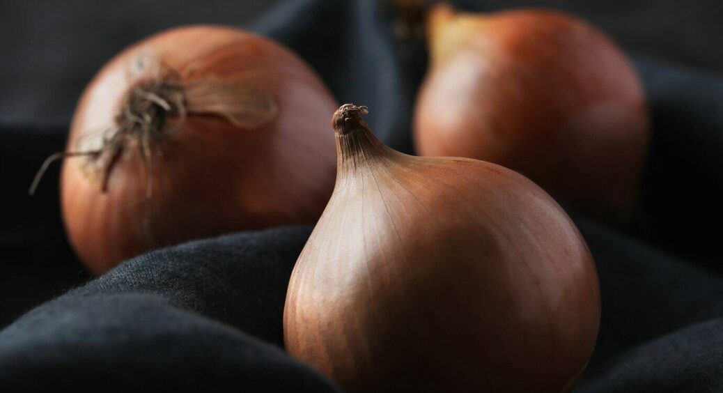 Я просто їм цибулю, а мої кімнатні рослини оживають на очах: оригінальний спосіб зробити квіти розкішними 