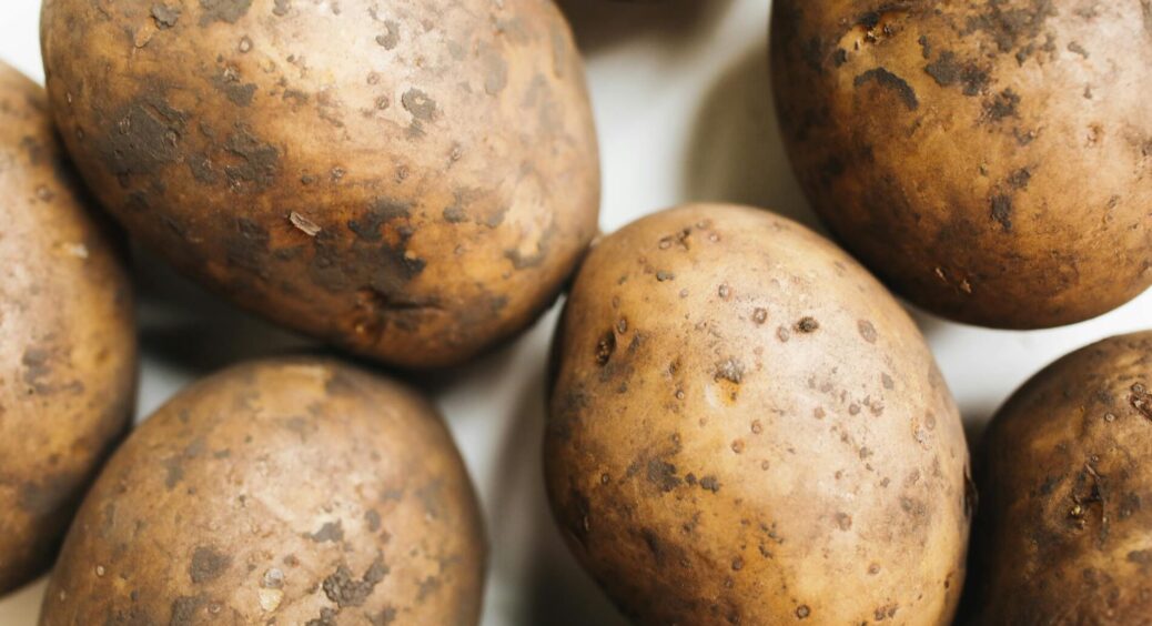 Японський метод вирощування картоплі, що дає рекордні врожаї: сусідка Валя знає, чому він такий ефективний 