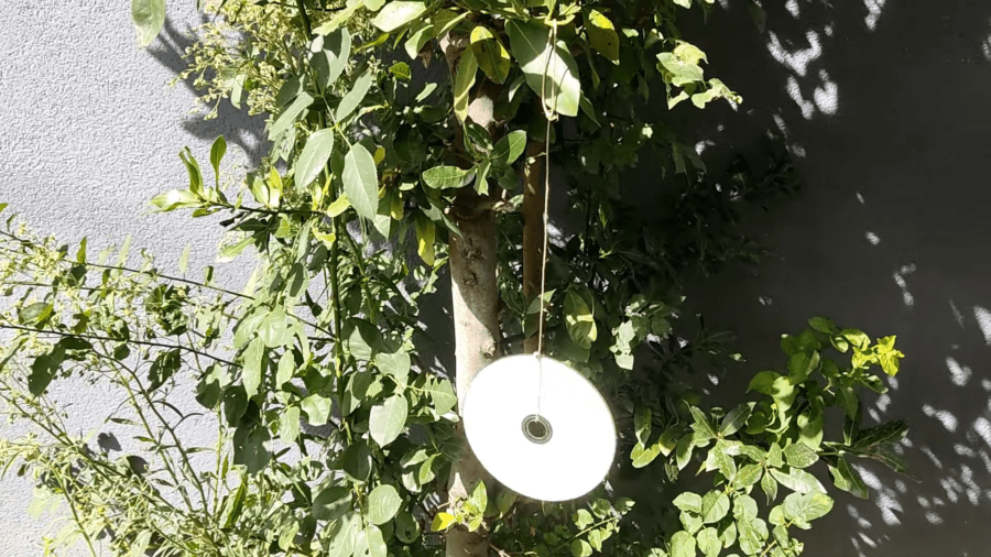 Городники розповіли, як використати компакт-диски на дачі