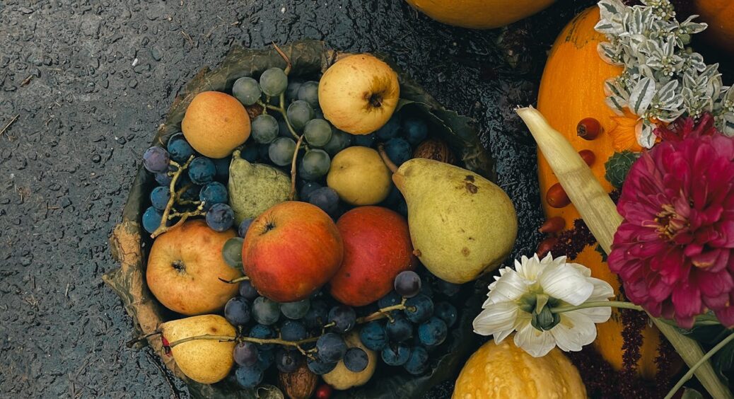 Поєднала різні добрива і сподівалась на краще, а вийшло не дуже: які підкормки можна змішувати, які нізащо 