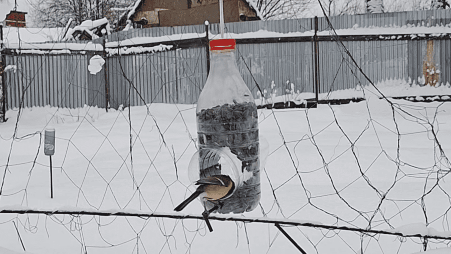Дачники розповіли, як годівнички для птахів допомагають на городі 
