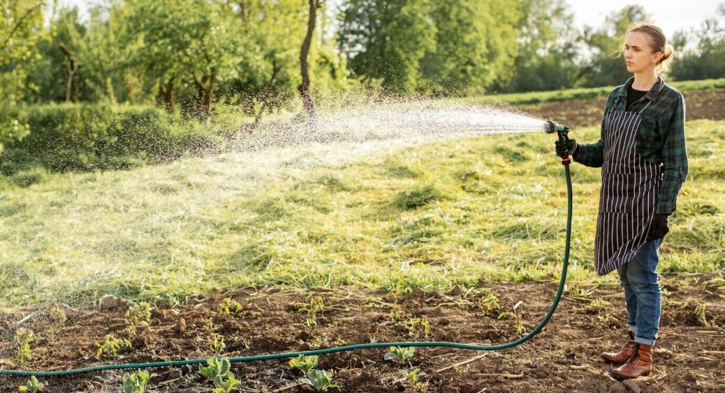 І чому я не зробила цього раніше? Тепер я “лінива” городниця, зате спина не болить: не поливаю, як усі 