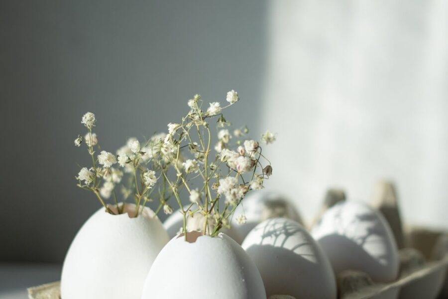 Як приготувати ефективне добриво з яєчної шкаралупи