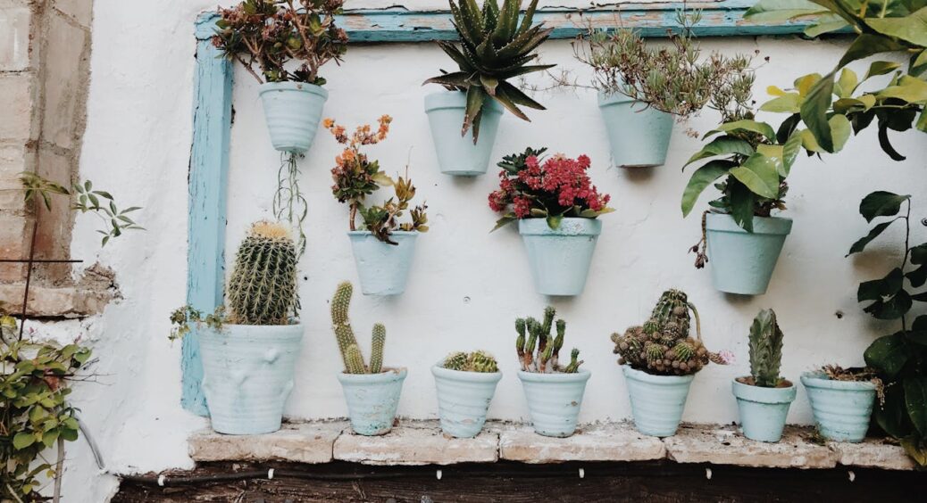 Чи потрібно взимку підгодовувати кімнатні квіти, бо більшість з них “спить”: яким рослинам “їжа” необхідна 