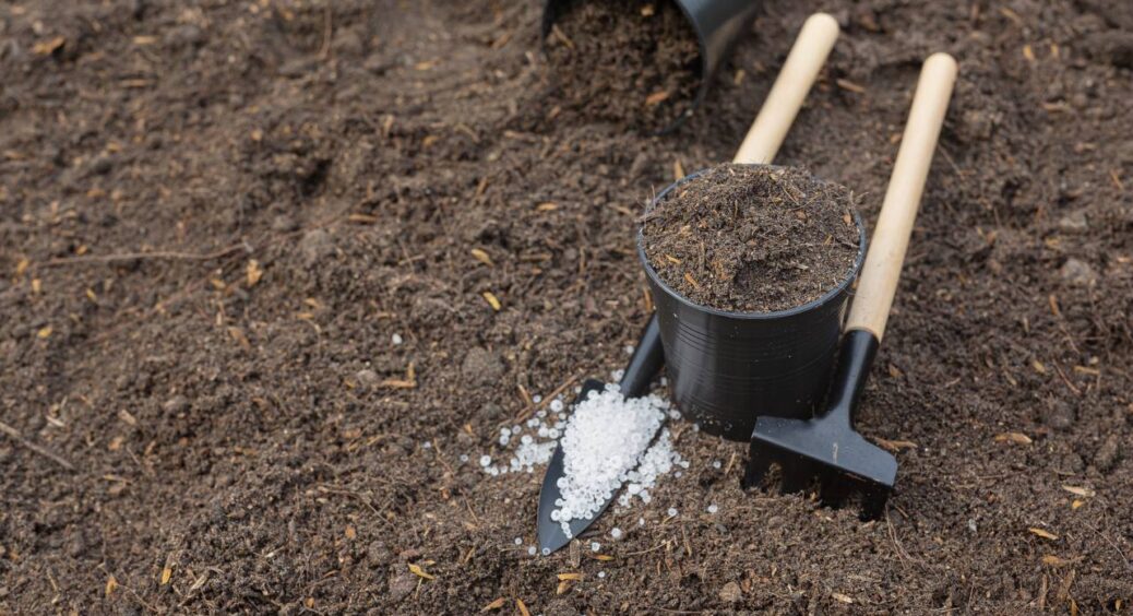 Сиплю стаканчик крупи на засніжену землю: замінить 5 кг добрив. Ґрунт стане як тісто на пиріжки – наче пух 