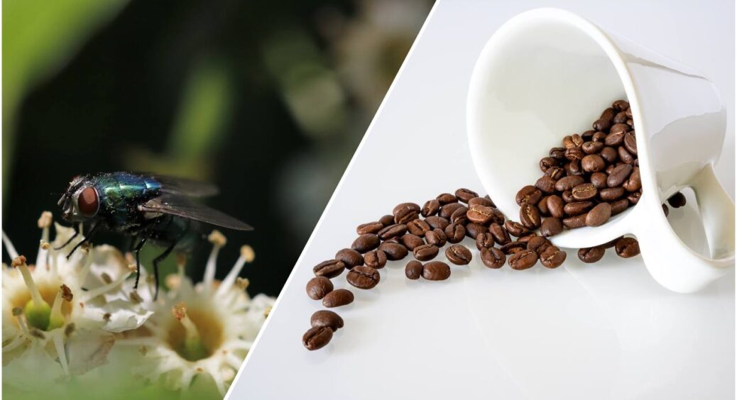 Поклала ложку кави на туалетний папір – такий трюк мене вразив. Ніколи не здогадаєтеся, для чого це робити 