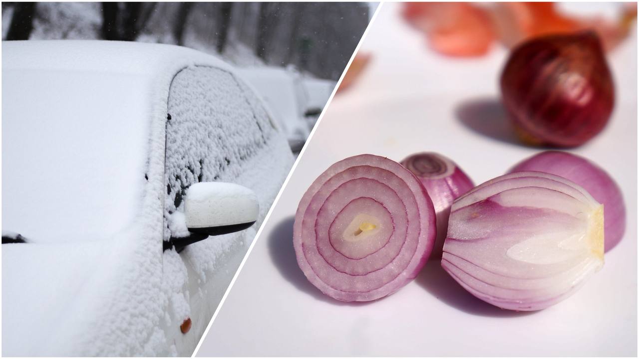 Експерти розповіли, навіщо досвідчені водії возять цибулю в машині