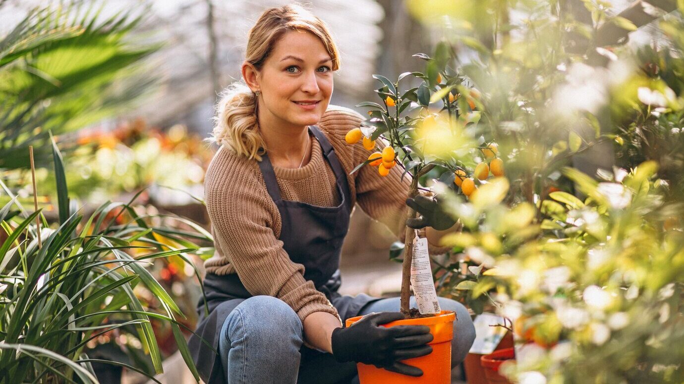 Аграрії пояснили, як правильно вкорінювати черешки