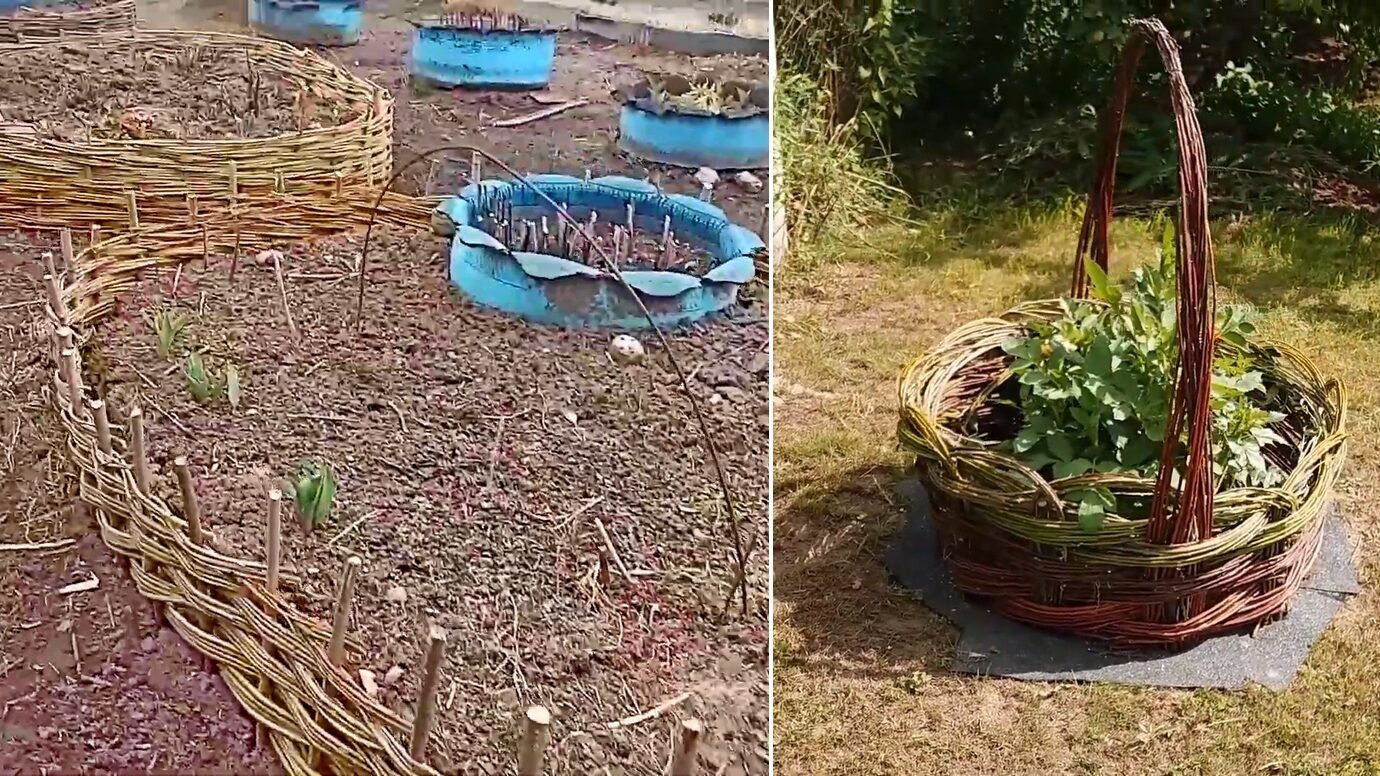Дизайнери розповіли, як зробити садовий декор зі зрізаних гілок
