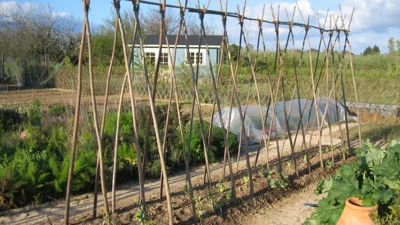 Дизайнери розповіли, як зробити садовий декор зі зрізаних гілок