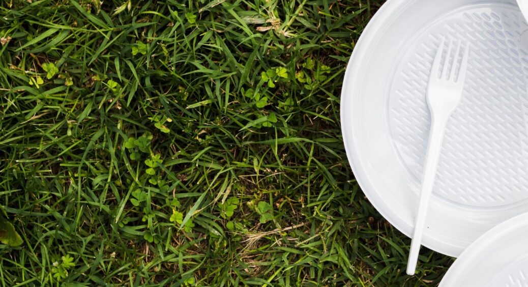 Сусідка затарилась одноразовим посудом і на городі виставила – запозичила ідею, бо працює на 100% 