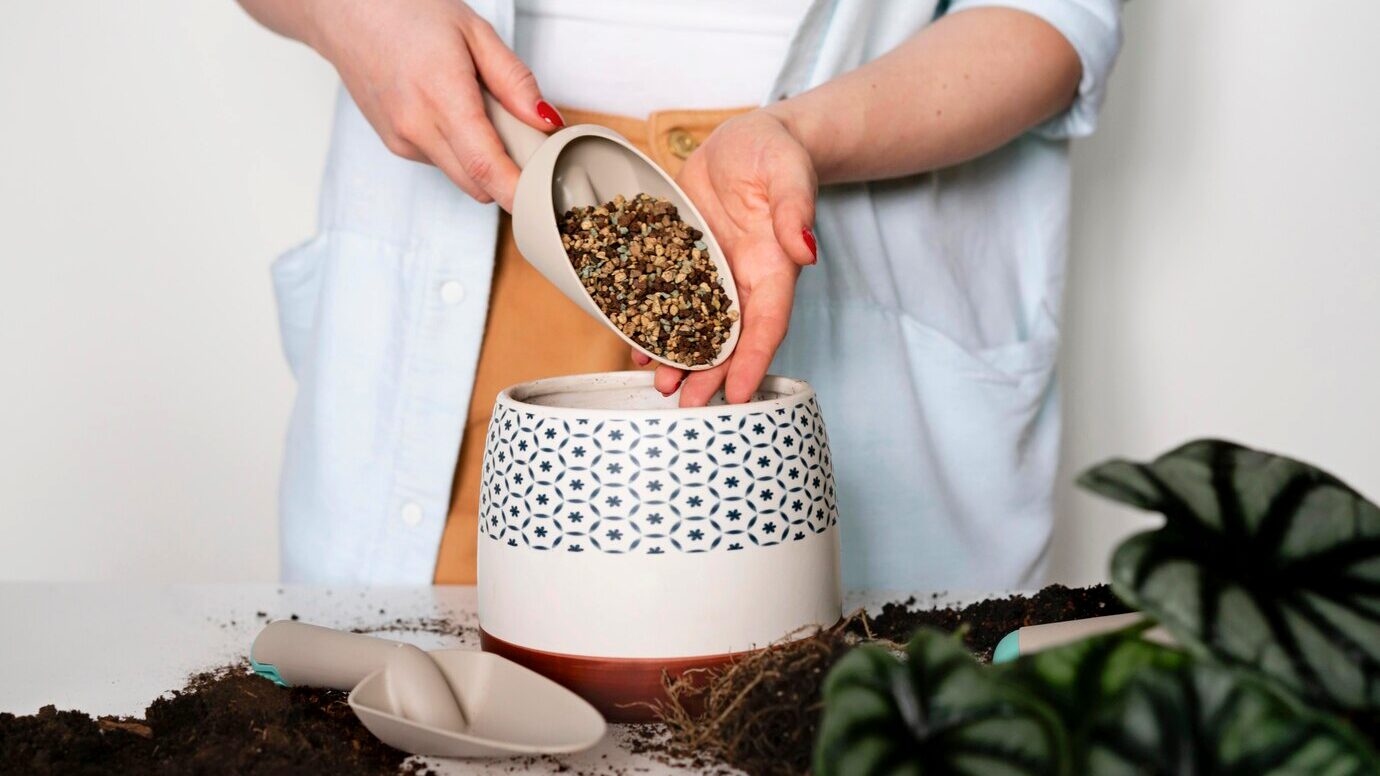 Садівники поділилися рецептом домашнього ґрунту для кімнатних рослин
