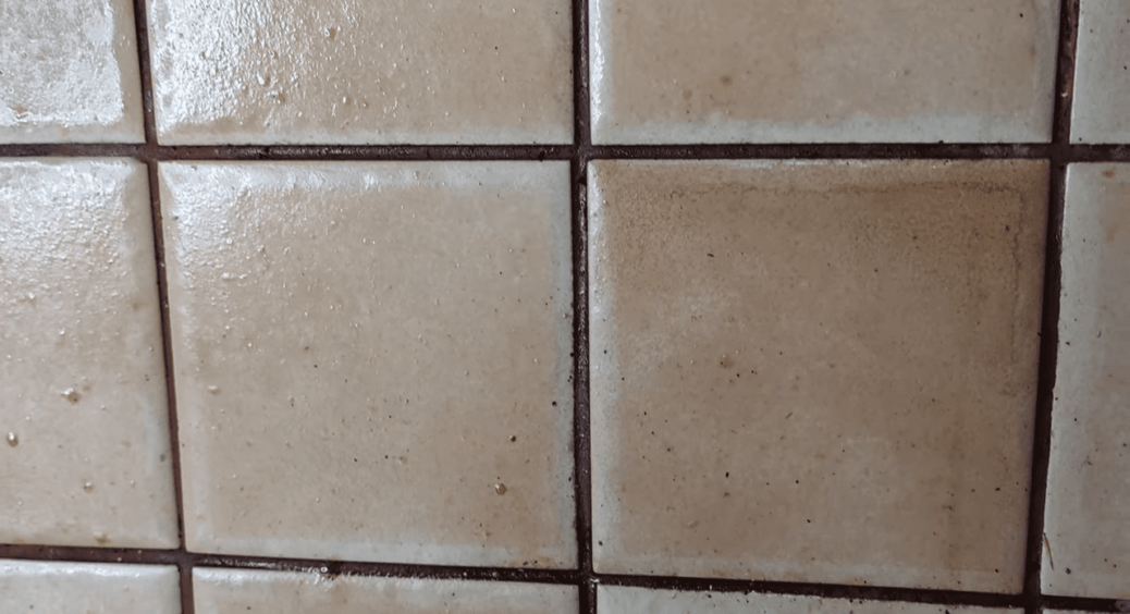 Я 30 років відпахала на кухні: в перший же день навчили чистити плитку без хімії – блищить як в операційній 