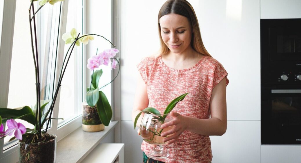 Подруга-флористка пояснила, чому моя орхідея ніколи не цвіте: 1 проста порада, яка стимулює ріст квітконосів 
