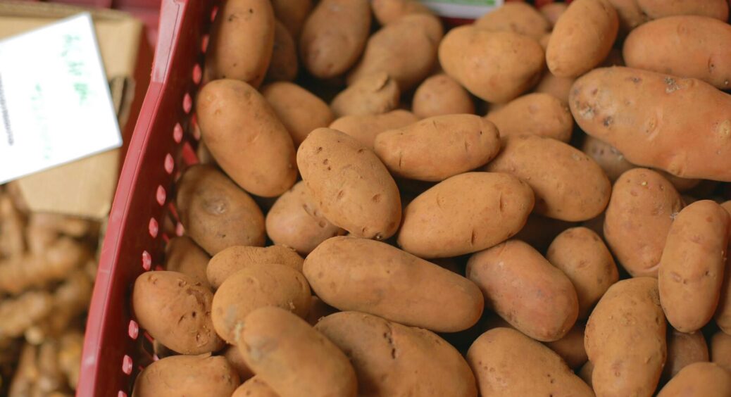 Продавчині на ринку терпіти не можуть цей “трюк”: 1 хитра дія, як розпізнати солодку та м’яку картоплю 