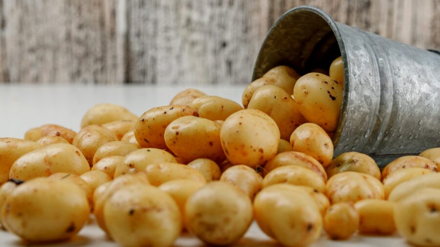 Фермери пояснили, чим підживлювати картоплю під час посадки для гарного врожаю