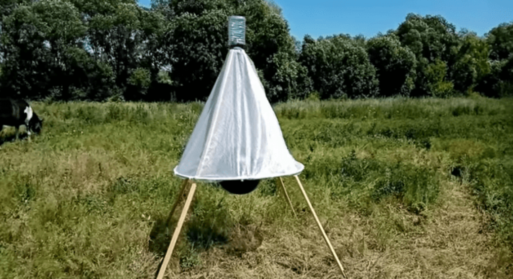 Бабуся-травниця показала диво-прилад: тепер ґедзі облітають мою садибу, як ошпарені – всі сусіди в черзі 