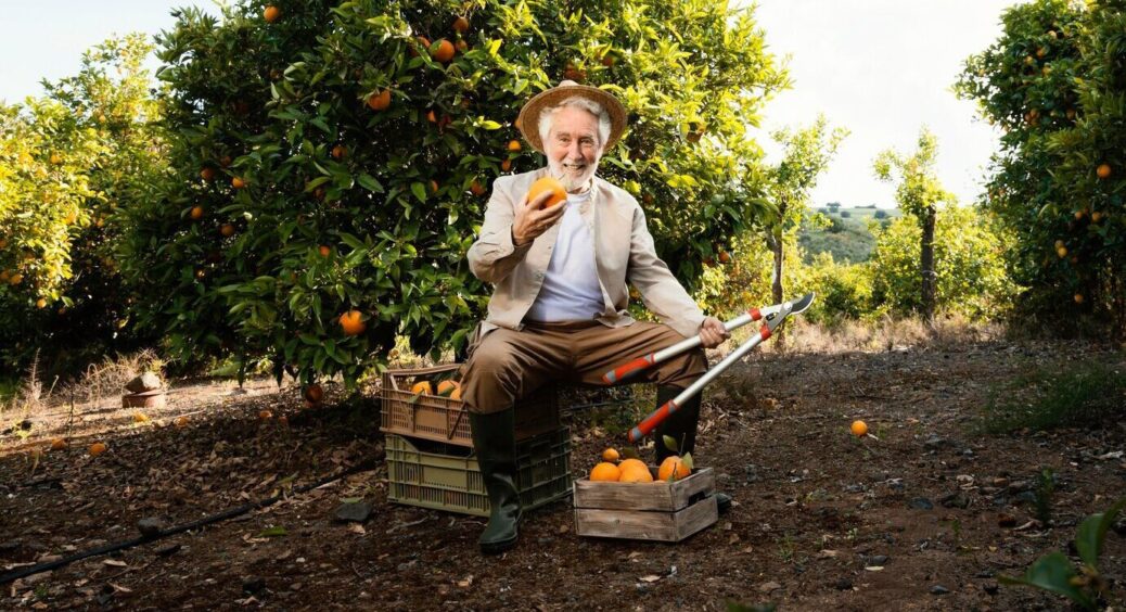 Займаюся садівництвом 19 років та бачу ці помилки під час обрізки дерев навіть у досвідчених господарів 