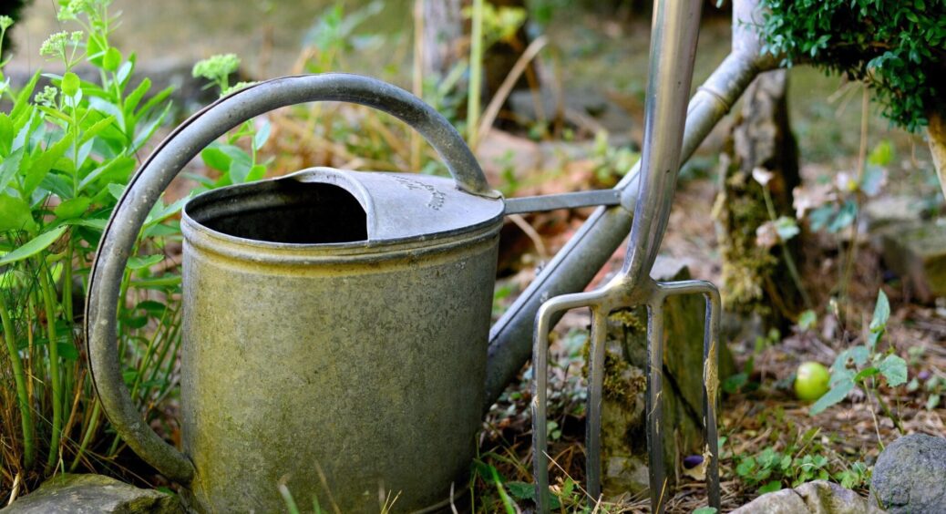 Готую сад до зими за 4 кроки: покроковий план для всіх дачників у 2025 – наступного року собі подякуєте 