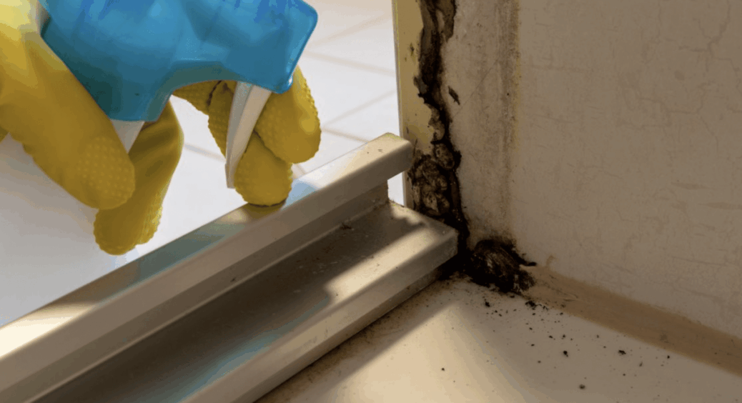 Всього 5 хвилин – і кухня як нова: три хитрі способи прибрати жир, пил і навіть сліди від ручки 