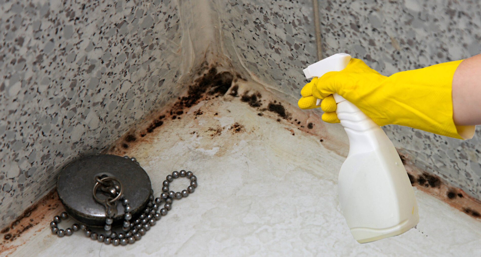 Господині розповіли, як позбутися плісняви у ванній кімнаті 