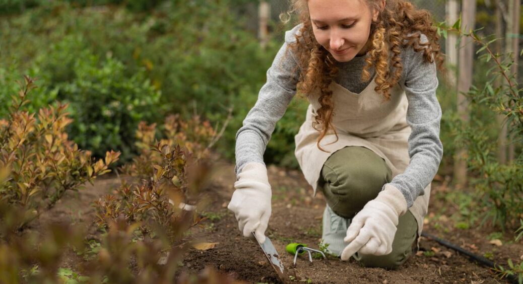 Розкидала 1 “штучку” на ділянці, і бур’яни просто зникли: більше не витрачаю сили та час на прополювання 