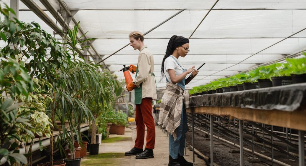 Голландці квіти не викидають, а реанімують аптечним засобом: пара крапель і будь-яка “погануля” стає кралею 