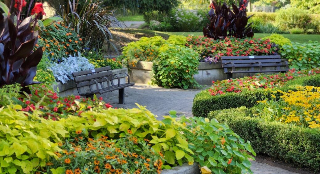 Я не хизуюсь, а констатую: сусіди лікті кусають. Створюю сонячні острівки в саду з жовтих квітів без розсади 