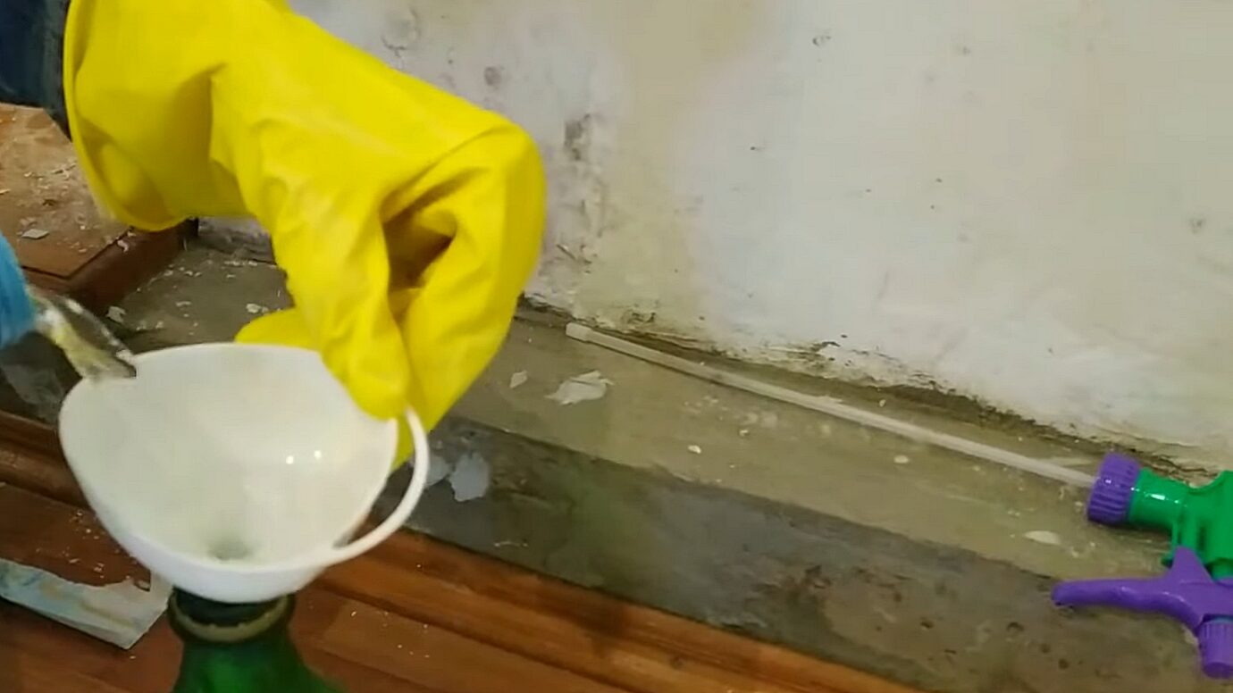 Домогосподарки порадили простий лайфхак для очищення стін від плісняви