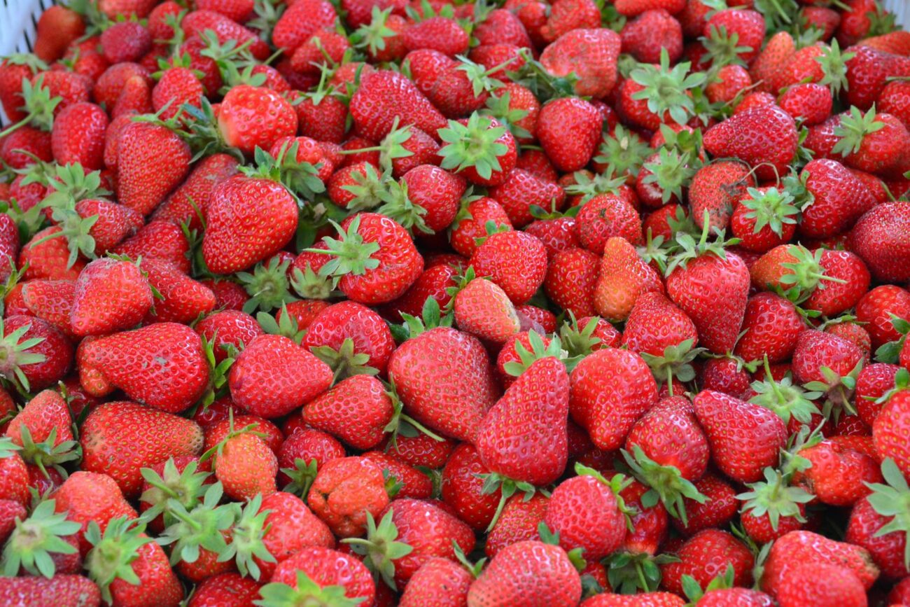 Садівники розповіли, чим підгодувати полуницю для високої врожайності та соковитих ягід