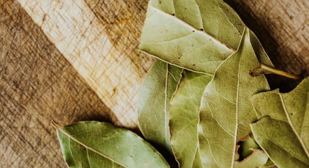 Беру лавровий лист і “бігаю” з ним по квартирі – це не “Вуду”, а трюк 2 в 1: від лихого ока та запаху котлет 