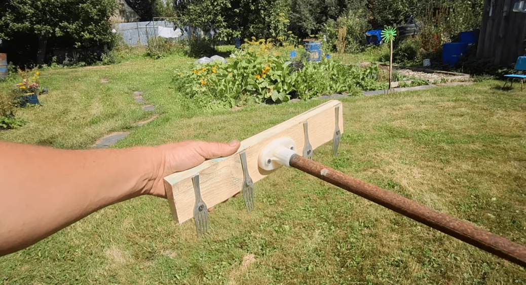 Сусідка з 15-ї квартири зробила диво-саджалку з мотлоху: тепер весь під’їзд просить навчити майструвати 