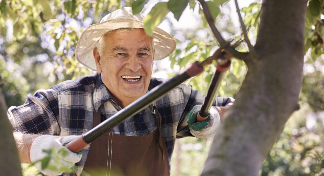 Гризуни поласували деревами свекрухи, бо вона їх не обмотала: сусід трохи пошаманив – і “реанімував” дерева 