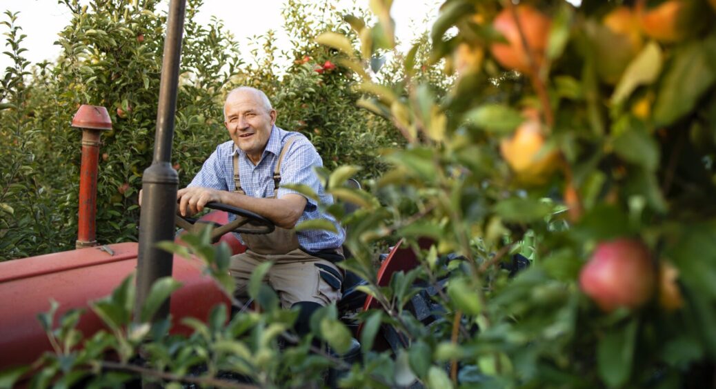 Щороку, як “Отче наш”, обробляю сад цим засобом: важливо встигнути до появи перших бруньок – ділюся 1 раз 