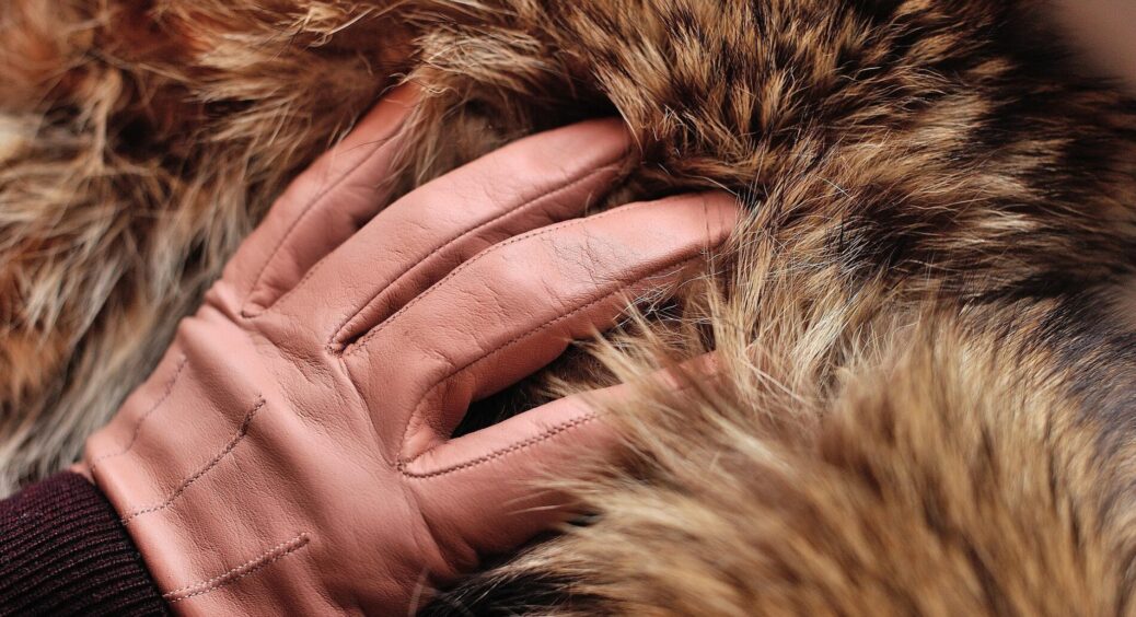 Сусідка підказала 1 простий спосіб для хутряного комірця: 2 “пшики” – і він розпушився як кульбабка 