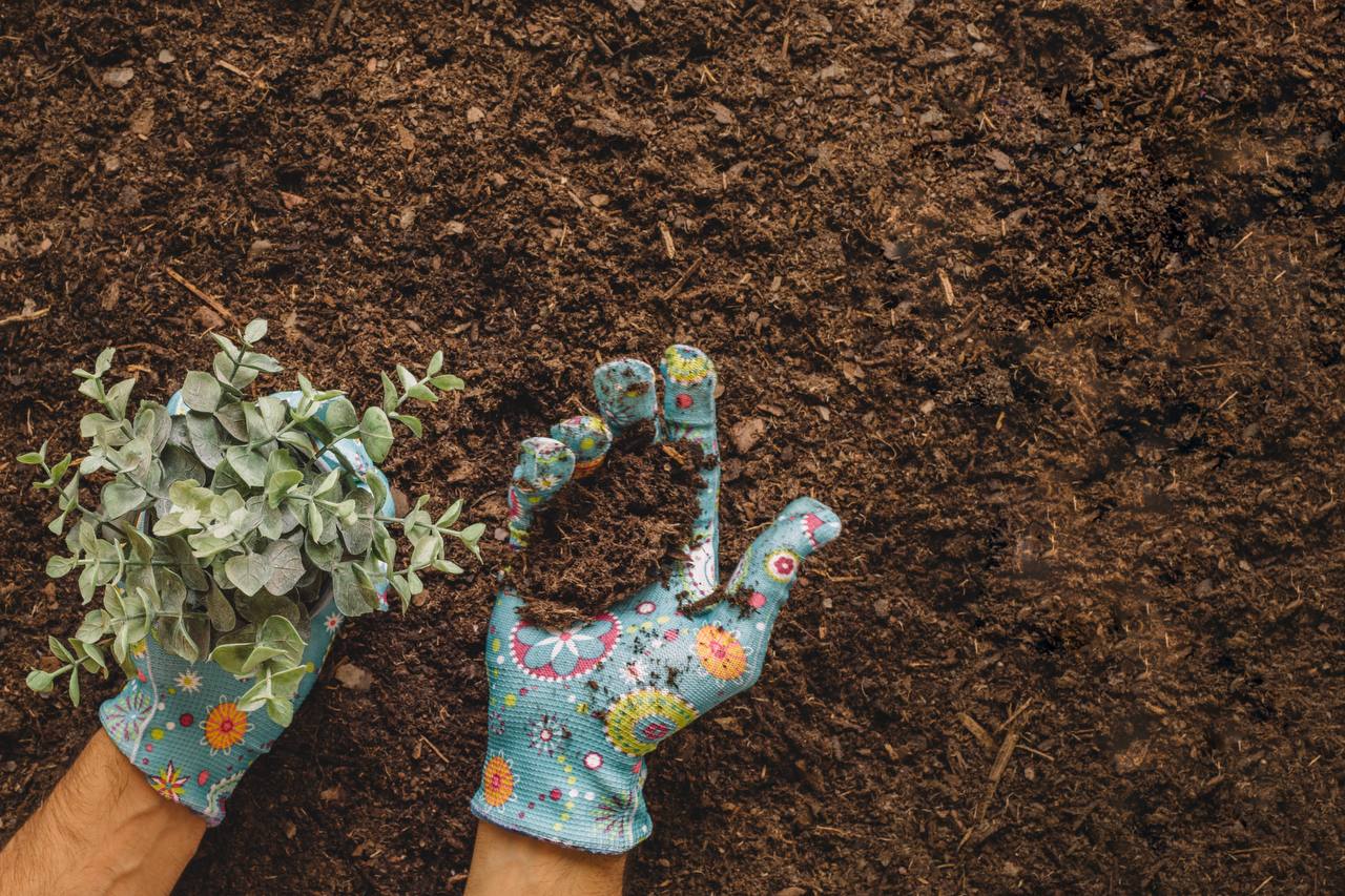 Тепер я без мороки оживляю грядки навесні – допоміг цей простий, але дієвий трюк від дідуся із села