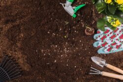 Досвідчені садівники розповіли, як легко зробити ґрунт родючим 
