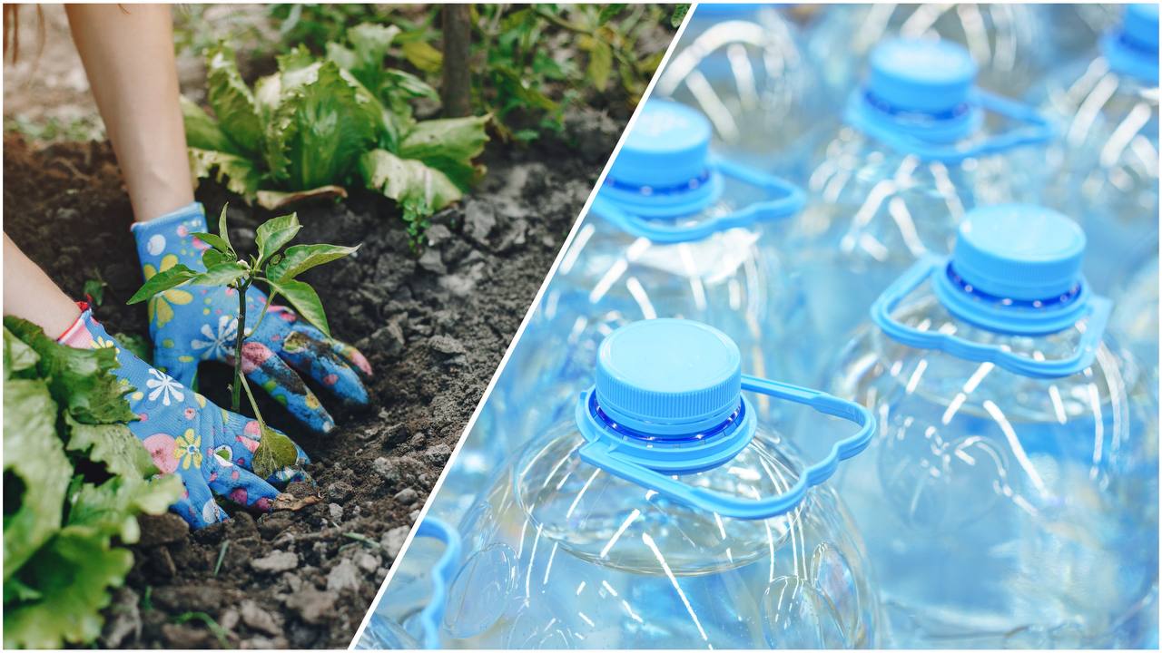 Садівники розповіли, як організувати прикореневий полив за допомогою пляшок