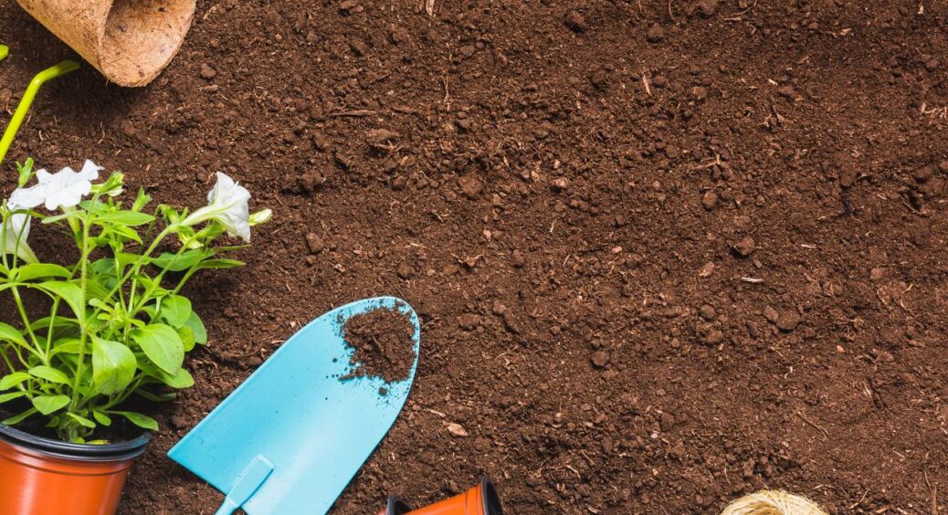 Ці 3 прості трюки допомагають без мороки зробити ґрунт під посадки м’яким, як пух: урожай збираю вже навесні 