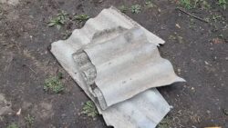 Садівники розповіли, як використовувати шифер для удобрення ґрунту 