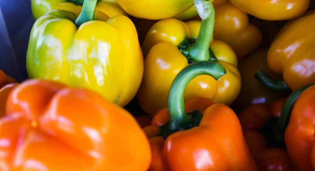 Замочую насіння цього сорту перцю в секретному розчині – і вже за 90 днів зриваю велетнів по 500 г 