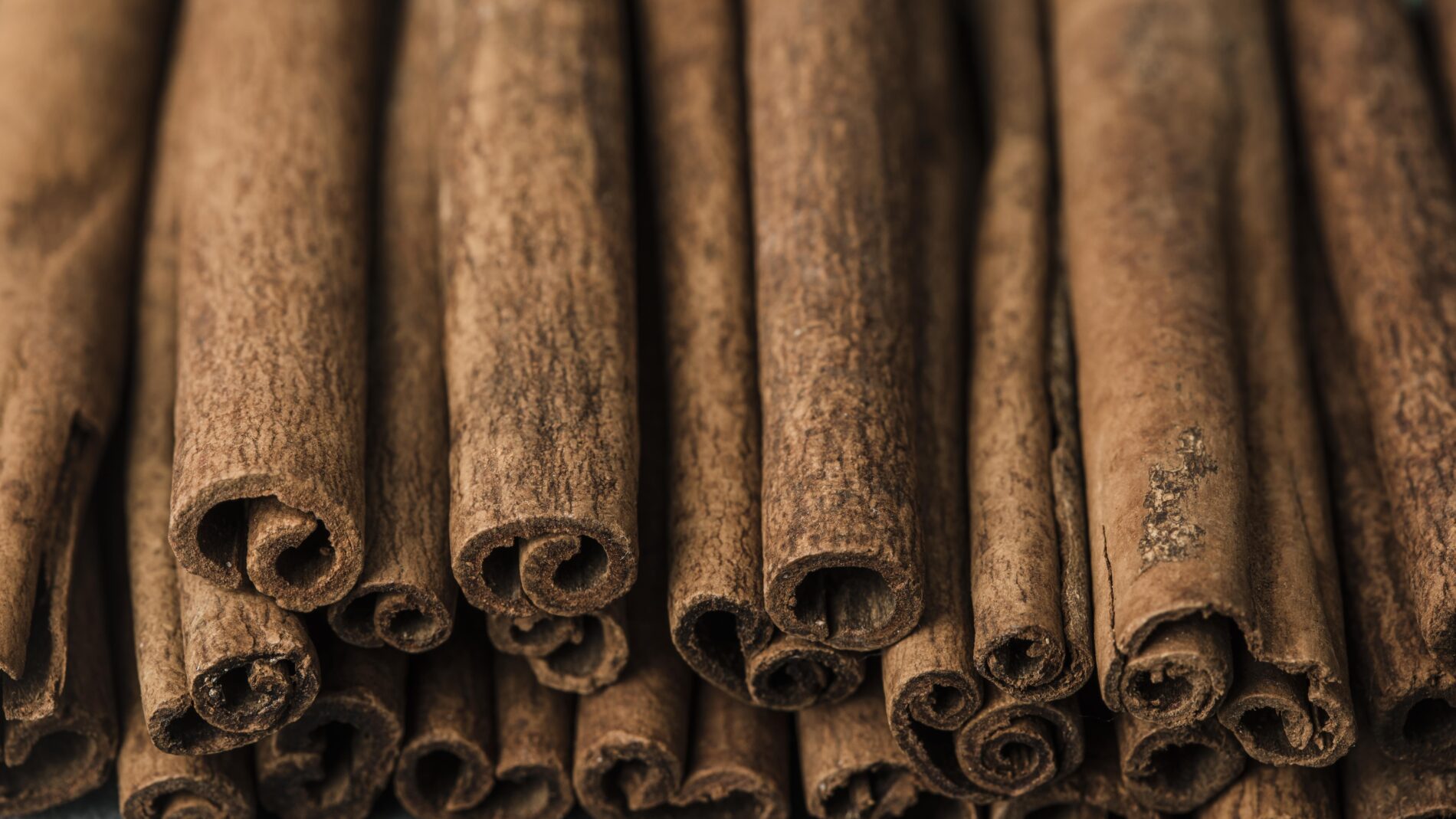 Експерти розповіли, як захистити розсаду від шкідників