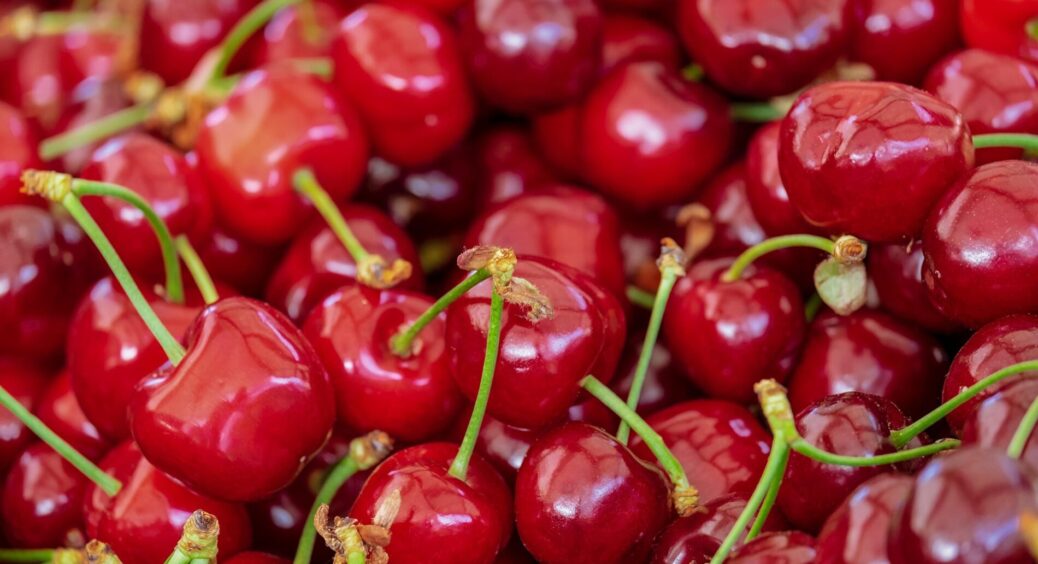 Сусід радив, інтернет підтвердив, а врожай зник: ця 1 помилка восени коштувала мені врожаю черешні 