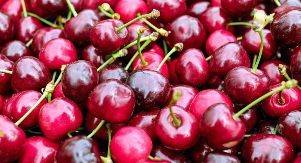 Вишні навесні – першою чергою: 3 склянки на кожне дерево – і ягід буде більше, ніж на одеському Привозі 