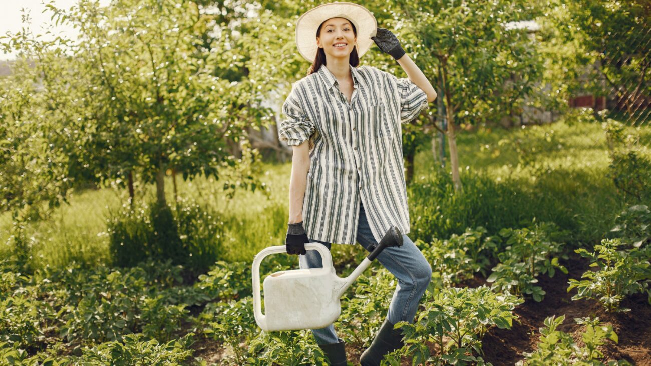 Агрономи розповіли, як легко покращити ґрунт і збільшити врожайність