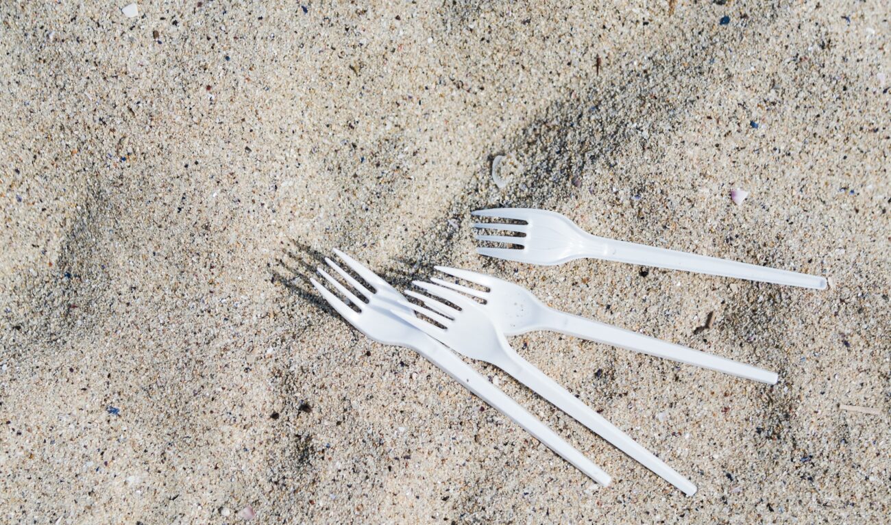 Городники розповіли, чим корисні пластикові виделки на грядках