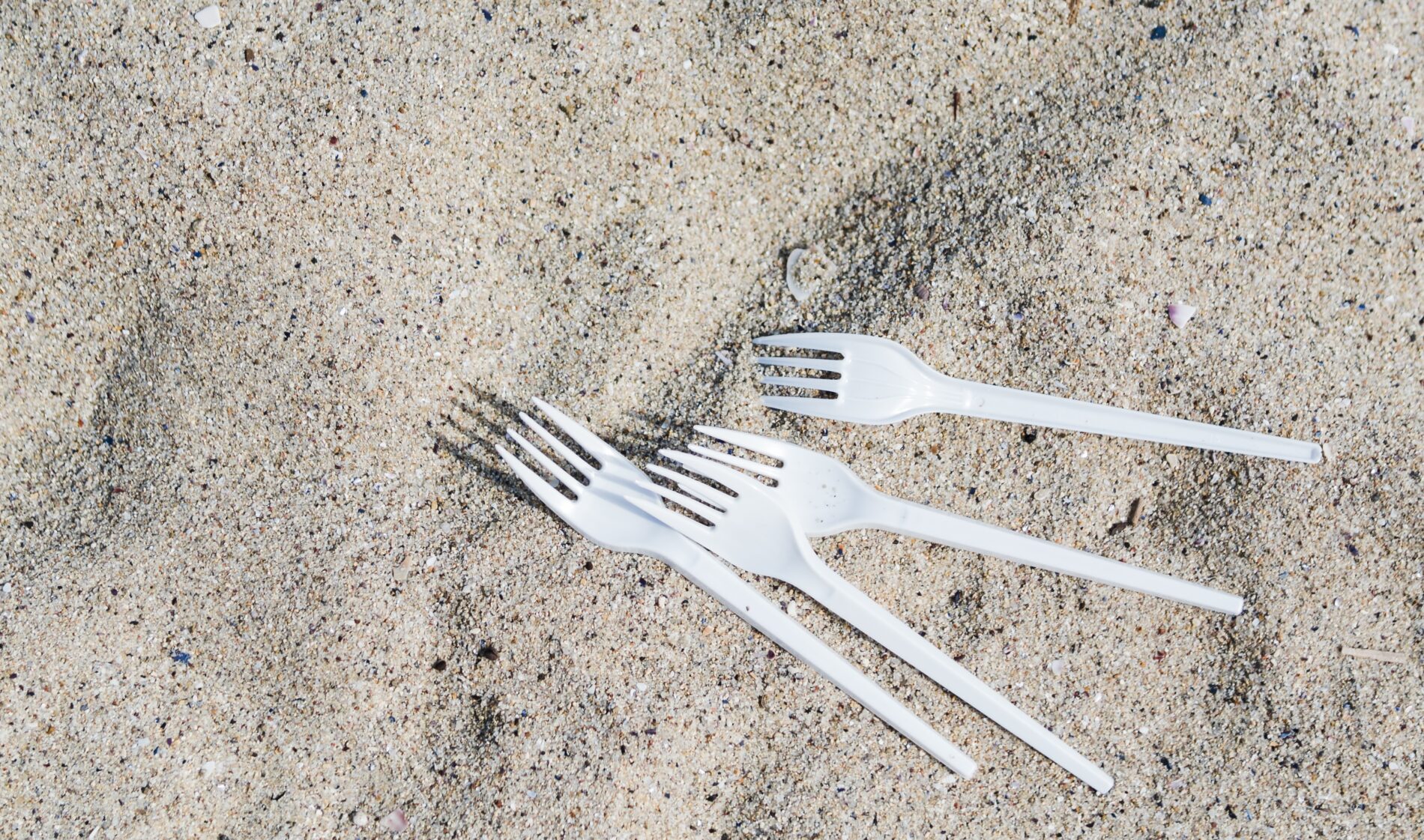 Городники розповіли, чим корисні пластикові виделки на грядках