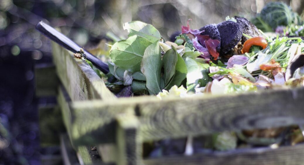 Що я додаю в компост, щоб не смерділо на всю вулицю і працювало швидше? 4 прості інгредієнти: розумний хід 