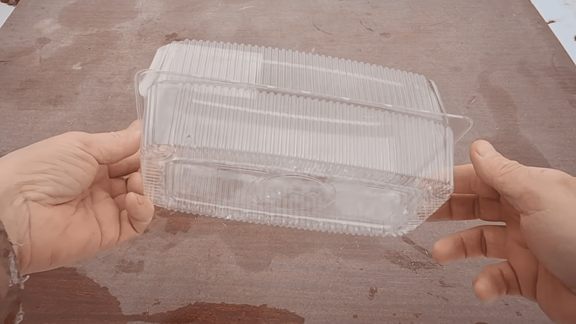 Експерти розповіли, як самостійно зробити міні-теплицю