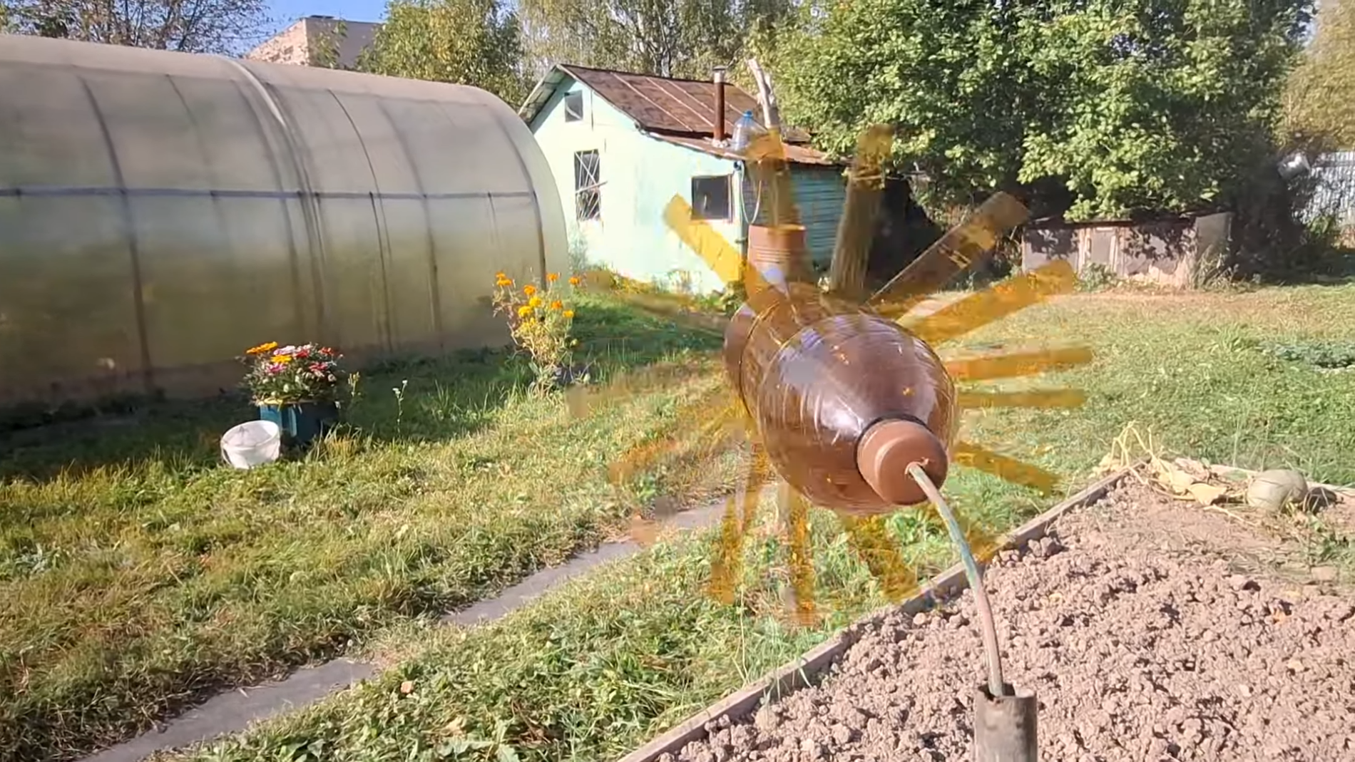 Експерти розповіли, як легко зробити відлякувач птахів та кротів